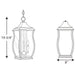 Progress Lighting Township Collection Three-Light Hanging Lantern (P5504-108)