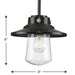 Progress Lighting Tremont Collection 1 Light 60W Medium Base Pendant Fixture (P550093-031)
