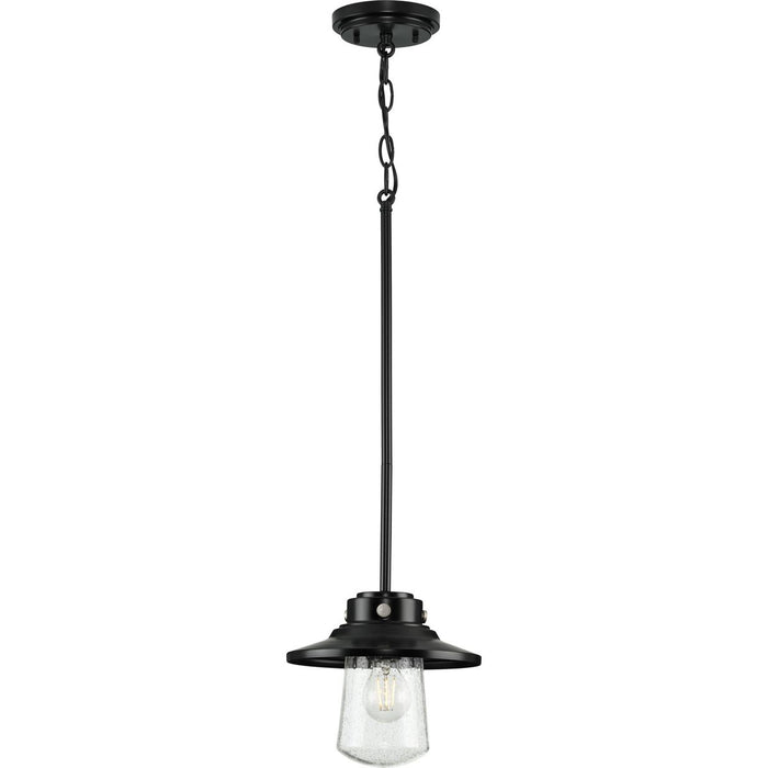 Progress Lighting Tremont Collection 1 Light 60W Medium Base Pendant Fixture (P550093-031)