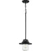 Progress Lighting Tremont Collection 1 Light 60W Medium Base Pendant Fixture (P550093-031)