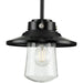 Progress Lighting Tremont Collection 1 Light 60W Medium Base Pendant Fixture (P550093-031)