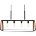 Progress Lighting Trestle Collection Four-Light Island Pendant (P4720-71)