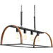 Progress Lighting Trestle Collection Four-Light Island Pendant (P4720-71)