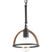 Progress Lighting Trestle Collection One-Light Mini-Pendant (P5315-71)