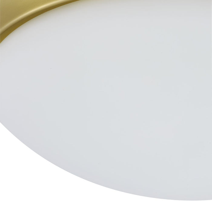 Progress Lighting Two-Light 14 Inch Etched Glass Flush Mount (P350147-012)