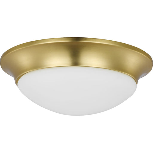 Progress Lighting Two-Light 14 Inch Etched Glass Flush Mount (P350147-012)