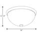 Progress Lighting Two-Light 14 Inch Glass Dome Flush Mount (P350044-009)