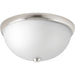Progress Lighting Two-Light 14 Inch Glass Dome Flush Mount (P350044-009)
