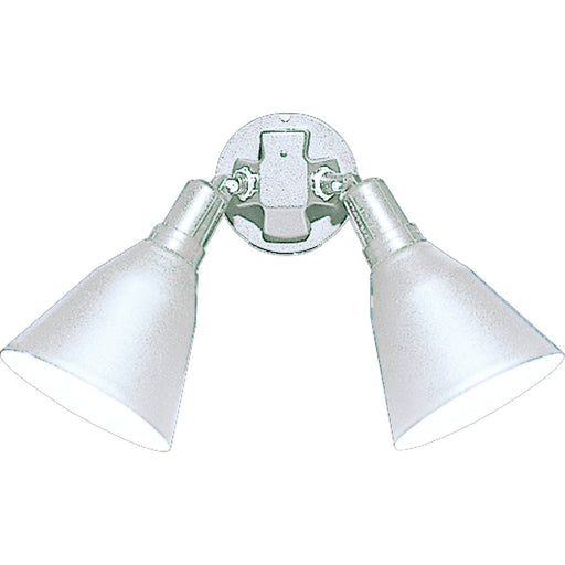 Progress Lighting Two-Light Adjustable Swivel Floodlight (P5203-30)