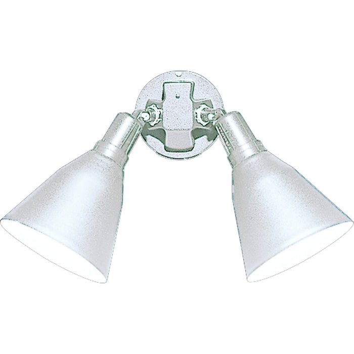 Progress Lighting Two-Light Adjustable Swivel Floodlight (P5203-30)