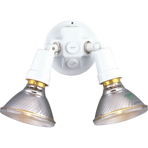 Progress Lighting Two-Light Adjustable Swivel Floodlight (P5207-30)