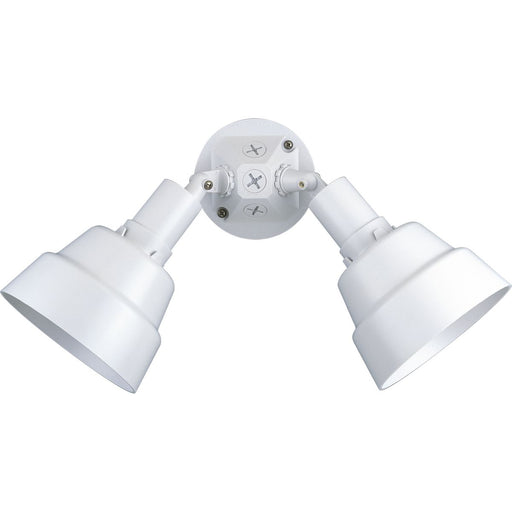 Progress Lighting Two-Light Adjustable Swivel Floodlight (P5212-30)