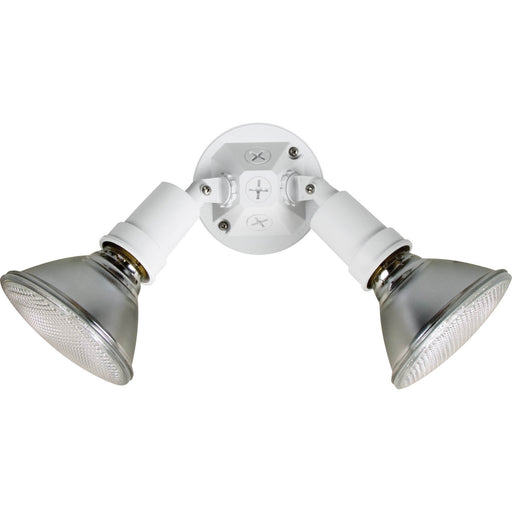 Progress Lighting Two-Light Adjustable Swivel Floodlight (P5212-30)