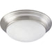 Progress Lighting Two-Light Alabaster Glass 14 Inch Close-To-Ceiling (P3689-09)