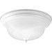 Progress Lighting Two-Light Dome Glass 13-1/4 Inch Close-To-Ceiling (P3925-30)