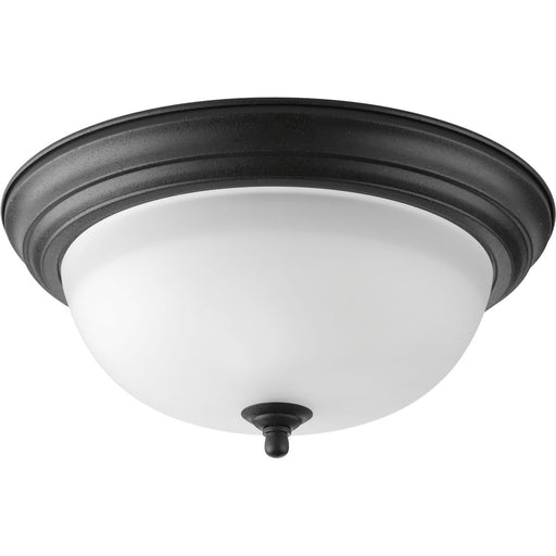 Progress Lighting Two-Light Dome Glass 13-1/4 Inch Close-To-Ceiling (P3925-80)