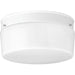 Progress Lighting Two-Light White Glass 10-3/4 Inch Close-To-Ceiling (P3520-30)