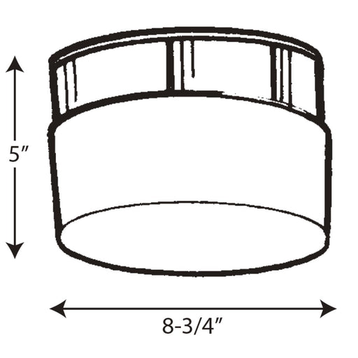 Progress Lighting Two-Light White Glass 8-3/4 Inch Close-To-Ceiling (P3518-30)