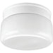 Progress Lighting Two-Light White Glass 8-3/4 Inch Close-To-Ceiling (P3518-30)