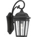 Progress Lighting Verdae Collection One-Light Medium Wall-Lantern (P560015-031)