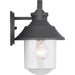 Progress Lighting Weldon Collection One-Light Medium Wall Lantern (P560120-031)