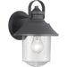 Progress Lighting Weldon Collection One-Light Medium Wall Lantern (P560120-031)