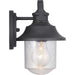 Progress Lighting Weldon Collection One-Light Small Wall Lantern (P560119-031)