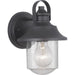 Progress Lighting Weldon Collection One-Light Small Wall Lantern (P560119-031)