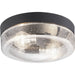 Progress Lighting Weldon Collection Two-Light Flush Mount (P550042-031)