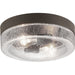 Progress Lighting Weldon Collection Two-Light Flush Mount (P550042-129)