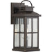 Progress Lighting Williamston Collection 1 Light 100W Medium Base Wall Lantern Fixture (P560265-020)