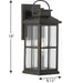 Progress Lighting Williamston Collection 1 Light 100W Medium Base Wall Lantern Fixture (P560266-020)