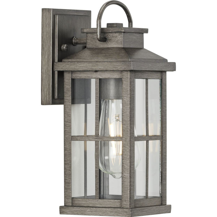 Progress Lighting Williamston Collection 1 Light 60W Medium Base Wall Lantern Fixture (P560264-103)