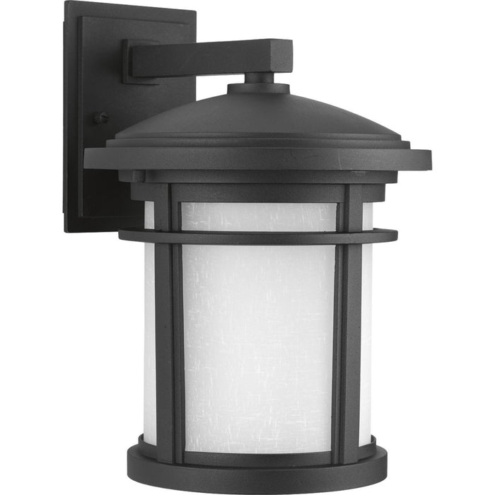 Progress Lighting Wish Collection One-Light Medium LED Wall Lantern 3000K (P6085-3130K9)