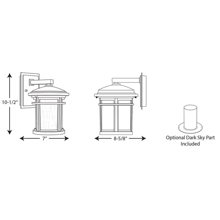 Progress Lighting Wish Collection One-Light Small LED Wall Lantern 3000K (P6084-3130K9)