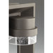 Progress Lighting Z-1010 Collection One-Light LED Wall Lantern 3000K (P560029-129-30)