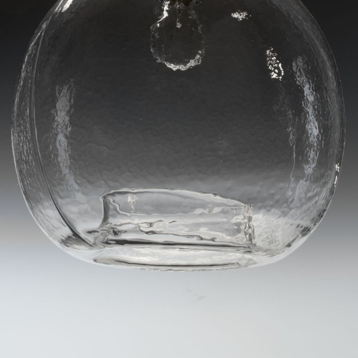 Progress Lighting Zin Collection One-Light Pendant (P500064-009)