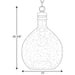 Progress Lighting Zin Collection One-Light Pendant (P500064-009)