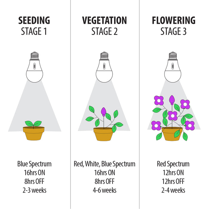 Feit Electric 17W E26 Base A21 Selectable Spectrum For Seeding Growing Blooming Indoor Greenhouse Plant Grow LED (A21/ADJ/GRW/LED/HDRP)