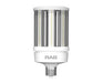 RAB HID ECO Post Top 90W 13500Lm EX39 80 CRI 5000K Bypass (HID-90-EX39-850-BYP-PT-ECO)