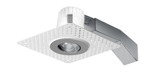 RAB Remodeler 2 Inch Round Adjustable 8W 2700K 80 CRI LED Triac 20 Degree Trimless Silver (RDLED2AR8-20YY-TLS)