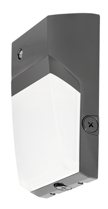 RAB Tallpack LED 40W Warm 0-10V Dimming 120-277V Photocell Bronze (WPTLED40Y/D10/PC2)