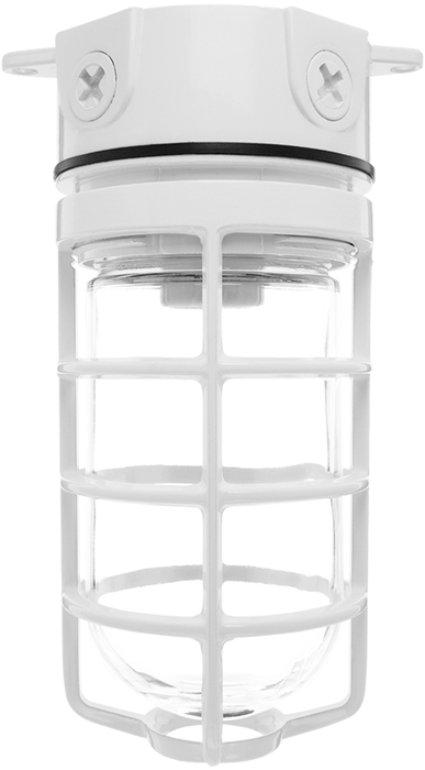 RAB Vaporproof 100 Ceiling 4 Inch Box 1/2 Inch White With Glass Globe Cast Guard (VX100DGW)