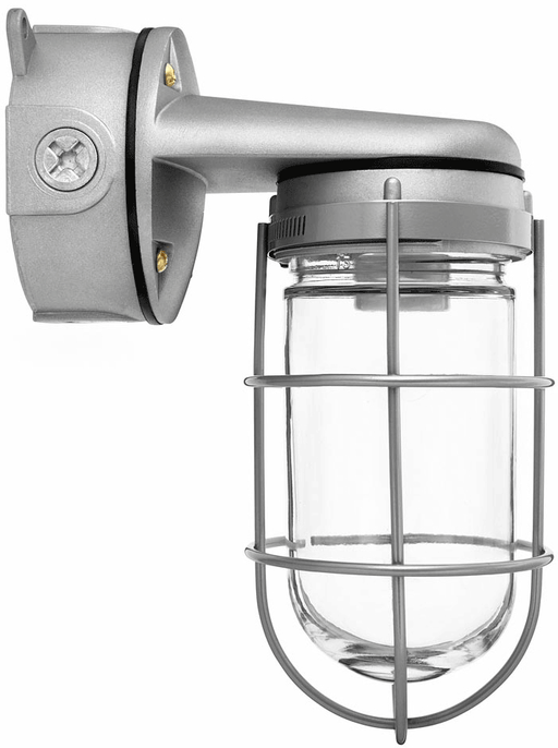 RAB Vaporproof 100 Wall Bracket 4 Inch Box 3/4 Inch White With Glass Globe Wire Guard (VXBR100GW-3/4)