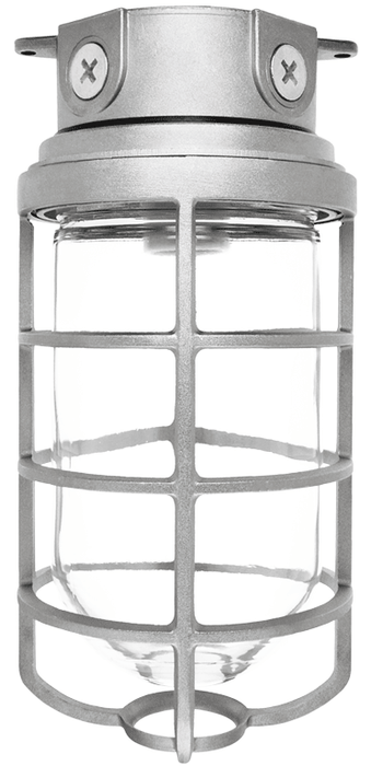 RAB Vaporproof 200 Ceiling 4 Inch Box 3/4 Inch Silver Glass Globe Cast Guard (VX200DGS-3/4)