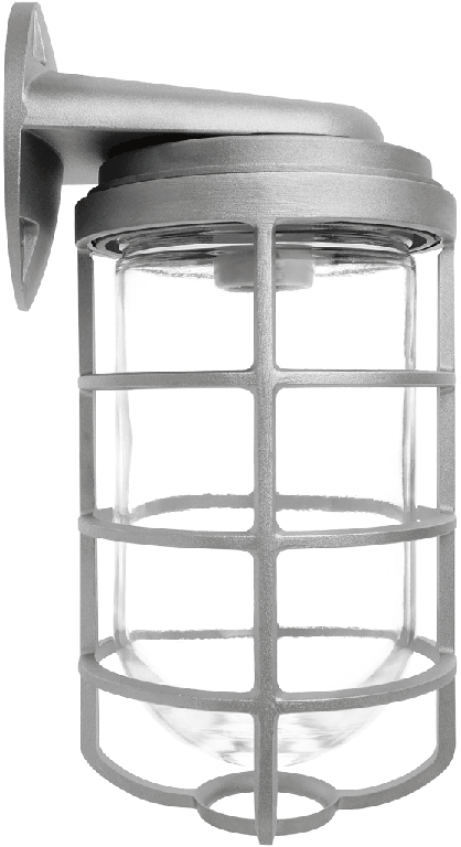 RAB Vaporproof 200 Wall Bracket With Glass Globe Cast Guard (VBR200DG)