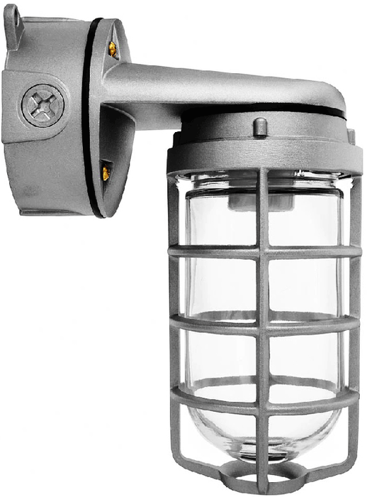 RAB Vaporproof 200 Wall Bracket 4 Inch Box 3/4 Inch Silver Glass Globe Cast Guard (VXBR200DGS-3/4)