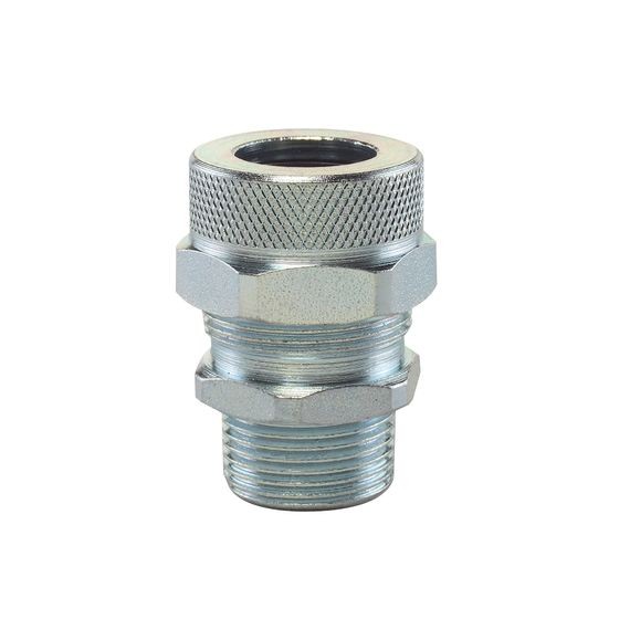 Remke Cord Connector Less Bushing Steel 1 Inch NPT (RSRS-300-W)