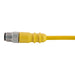 Remke Dual Key Micro-Link Plug Assembly PVC Braided Male 2-Pole 6 Foot 22 AWG (202E0060G)