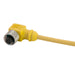 Remke Dual Key Micro-Link Plug Assembly PVC Female 90 Degree 6-Pole 12 Foot 22 AWG (206C0120T)